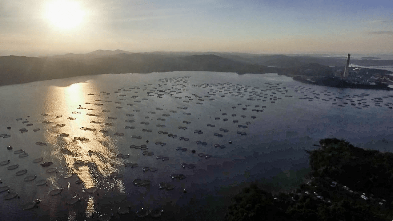 drone photo aerial photography of sunset in pangasinan philippines with fish farms and electrical power plant